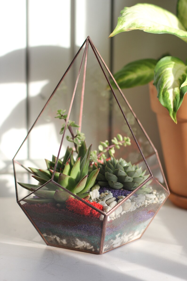 DIY terrarium kit with succulents. Christmas gift set, New home gift, Living room decor, Geometric planter, Gifts for Kids zdjęcie 10