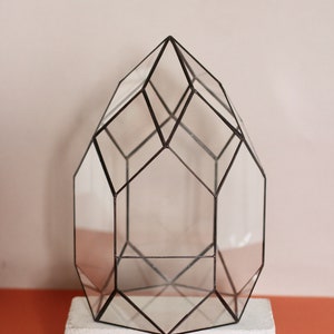 May include: Geometric glass terrarium with a black metal frame, resting on a white rectangular base. The clear glass panels create a multi-faceted shape, perfect for displaying small plants or decorative items. The terrarium is approximately 12 inches tall.