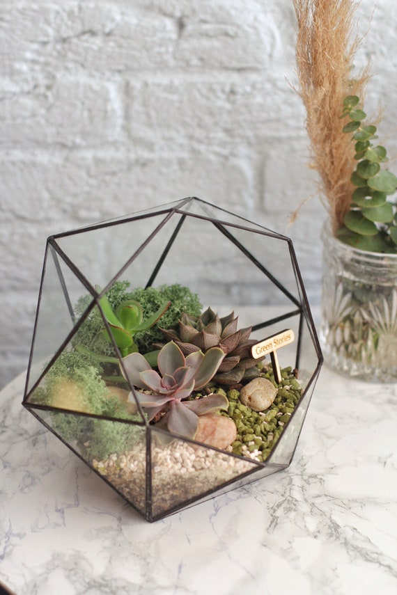 Geometric Glass Terrarium  Succulent Florarium, Home Decor - Etsy Hong Kong