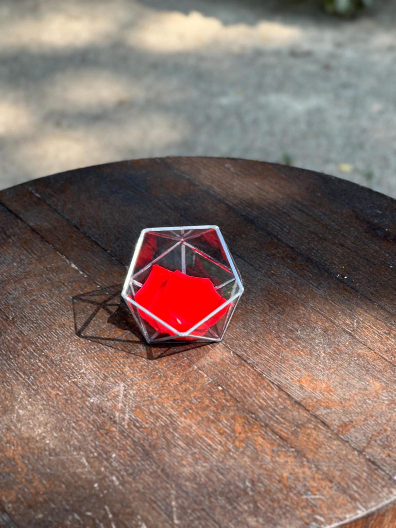 May include: A geometric glass terrarium with a red fabric inside.