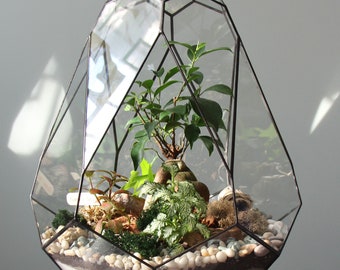 Glass terrarium "Amethyst" – Living room and office decor, Bonsai terrarium, Christmas gift for plant lover, home planter. Without plants