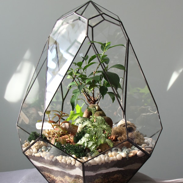 Glass terrarium "Amethyst" – Living room and office decor, Bonsai terrarium, Christmas gift for plant lover, home planter. Without plants