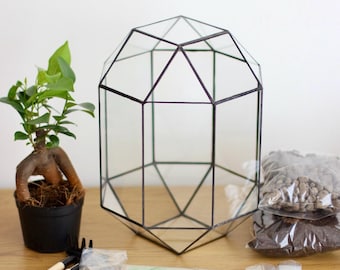 Handmade Terrarium Kit with Glass Planter, Soil and Moss