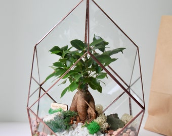 Terrarium en verre Khaleesi - Présentoir de plantes géométriques fait main