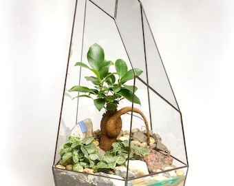 Bonsai geometric glass terrarium Florarium "Meteor» – Tiffany technique. Home decor, for plants, gift - without plants