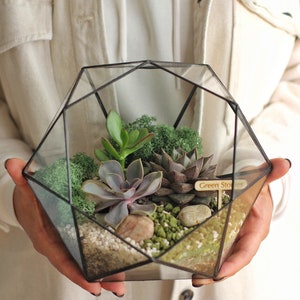 Glass terrarium &quot;Brilliant&quot; – Succulent florarium/ Home decor, Christmas gift for plant lover, New home gift