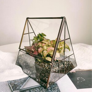 Close Geometric glass container terrarium Box, Handmade For Plants Door Garden/ Birthday Gift/ new home gift/ Living room decor