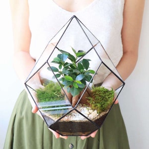 Entfesseln Sie Ihre Kreativität diese Weihnachten mit unserem DIY Terrarium Kit Das perfekte unvergessliche Geschenk. Neues Zuhause Geschenk. Personalisiertes Geschenk für Ihn Bild 1