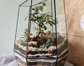 Geometric glass terrarium "Venus" – Living room and office decor, Bonsai terrarium, Birthday gift, home planter