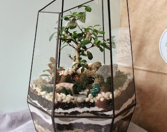 Terrario geometrico in vetro "Venere" - Vaso per bonsai fatto a mano