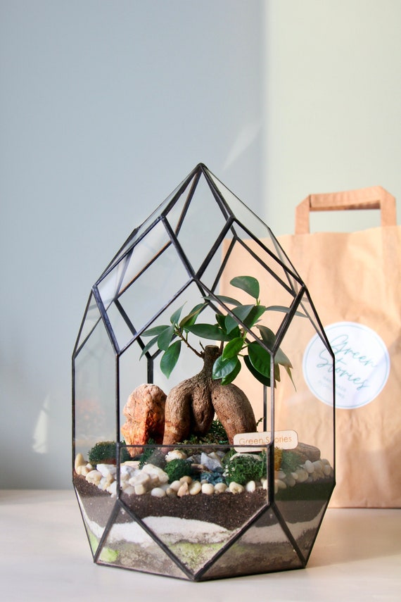 Glass terrarium"Rocket" – living room and office decor, Bonsai terrarium, Christmas gift, home planter