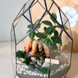 May include: Geometric glass terrarium with a black metal frame, housing a small plant, rocks, and moss. The terrarium has a layered base of sand and pebbles. A wooden sign reads "Green Stories".