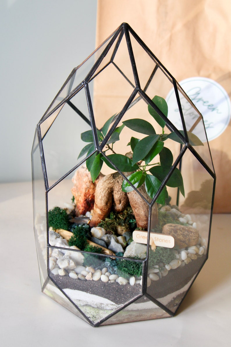 May include: Geometric glass terrarium with a black metal frame, housing a small plant, rocks, and moss. The terrarium has a layered base of sand and pebbles. A wooden sign reads "Green Stories".