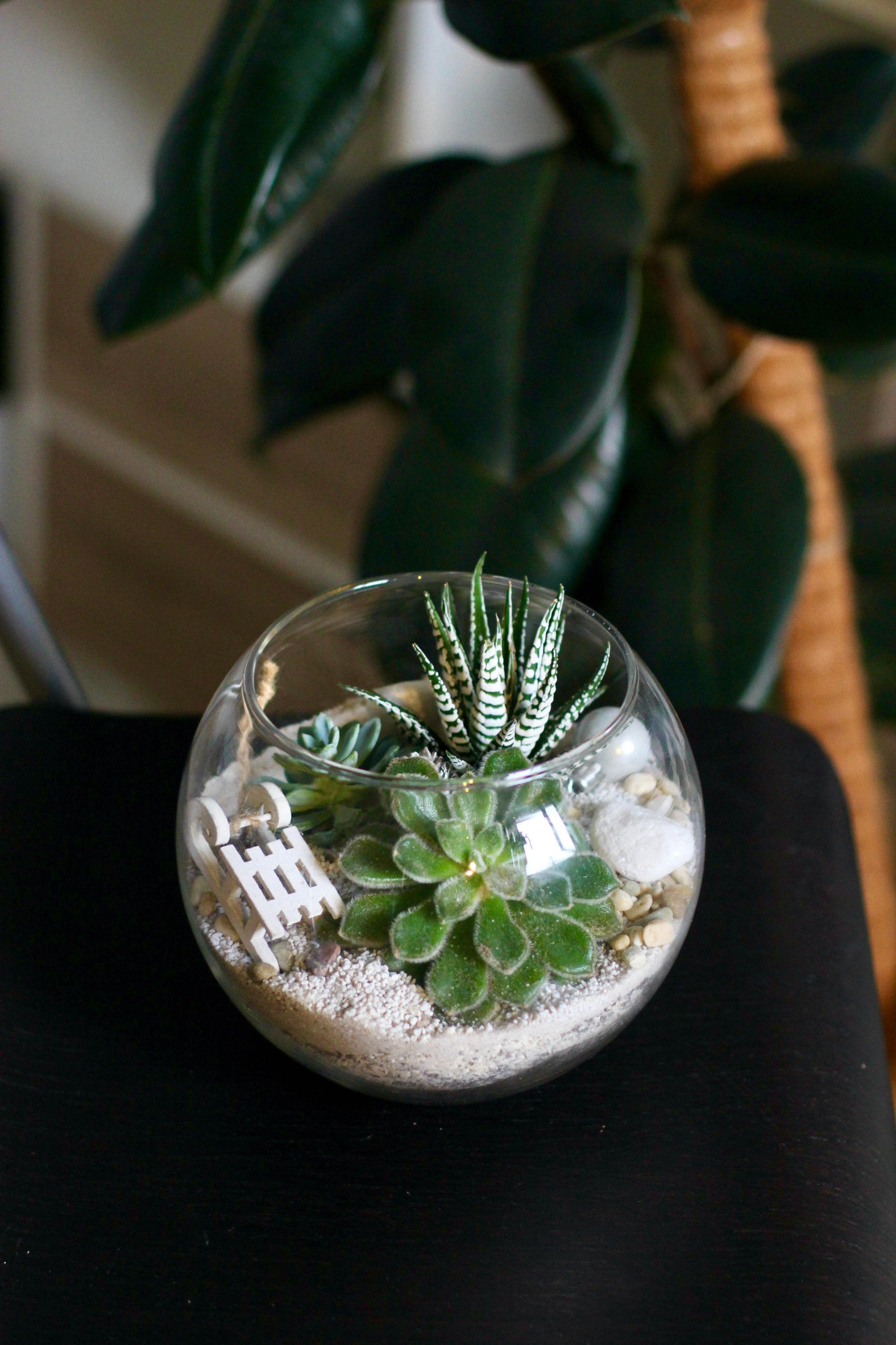 DIY Terrarium Kit/ Gift Set / Christmas Gift/ New Home Gift/ Etsy