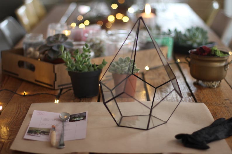 DIY Terrarium Bausatz mit Sukkulenten. Weihnachtsgeschenk Set, Neues Zuhause Geschenk, Wohnzimmer Dekor, Geometrische Pflanze, Geschenke für Kinder Bild 3