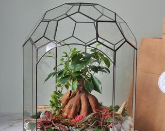 Large Bonsai Terrarium Glass Case, Geometric Wardian Case for Rare Plants, Tall Indoor Greenhouse, Modern Home Decor Statement Piece