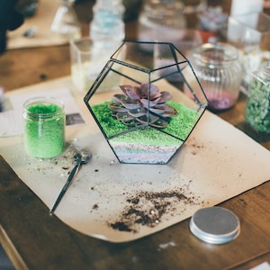 DIY terrarium kit with succulents. Birthday gift set  New home gift, Living room decor, Geometric planter, Gifts for Kids