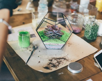 DIY terrarium kit with succulents. Birthday gift set  New home gift, Living room decor, Geometric planter, Gifts for Kids