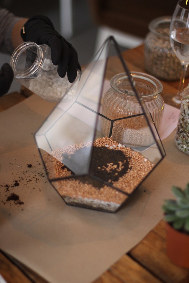 DIY Terrarium Bausatz mit Sukkulenten. Weihnachtsgeschenk Set, Neues Zuhause Geschenk, Wohnzimmer Dekor, Geometrische Pflanze, Geschenke für Kinder Bild 2