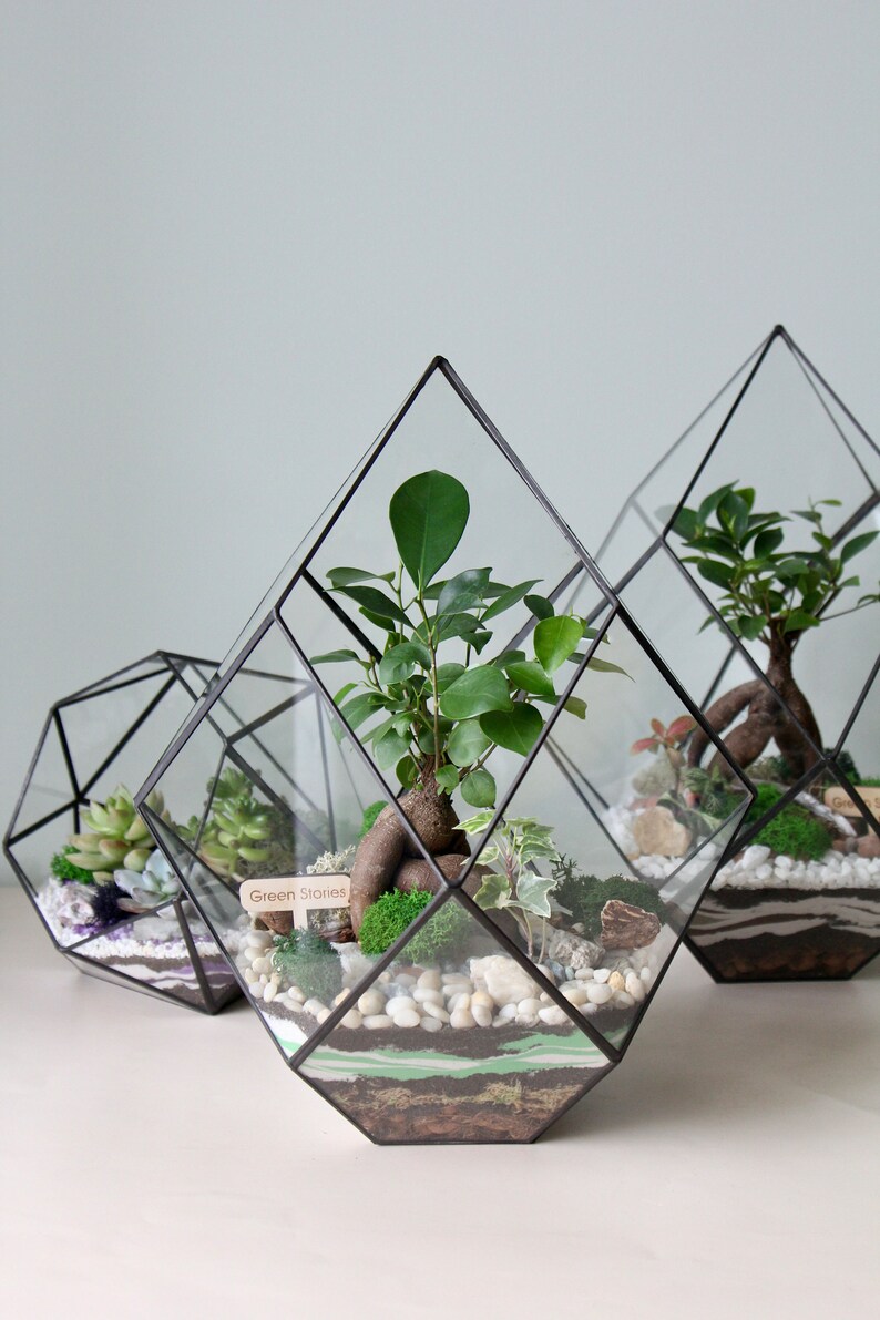 Entfesseln Sie Ihre Kreativität diese Weihnachten mit unserem DIY Terrarium Kit Das perfekte unvergessliche Geschenk. Neues Zuhause Geschenk. Personalisiertes Geschenk für Ihn Bild 9