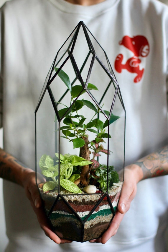 Geometric Glass Terrarium, Rocket Florarium, Tiffany Decor - Etsy