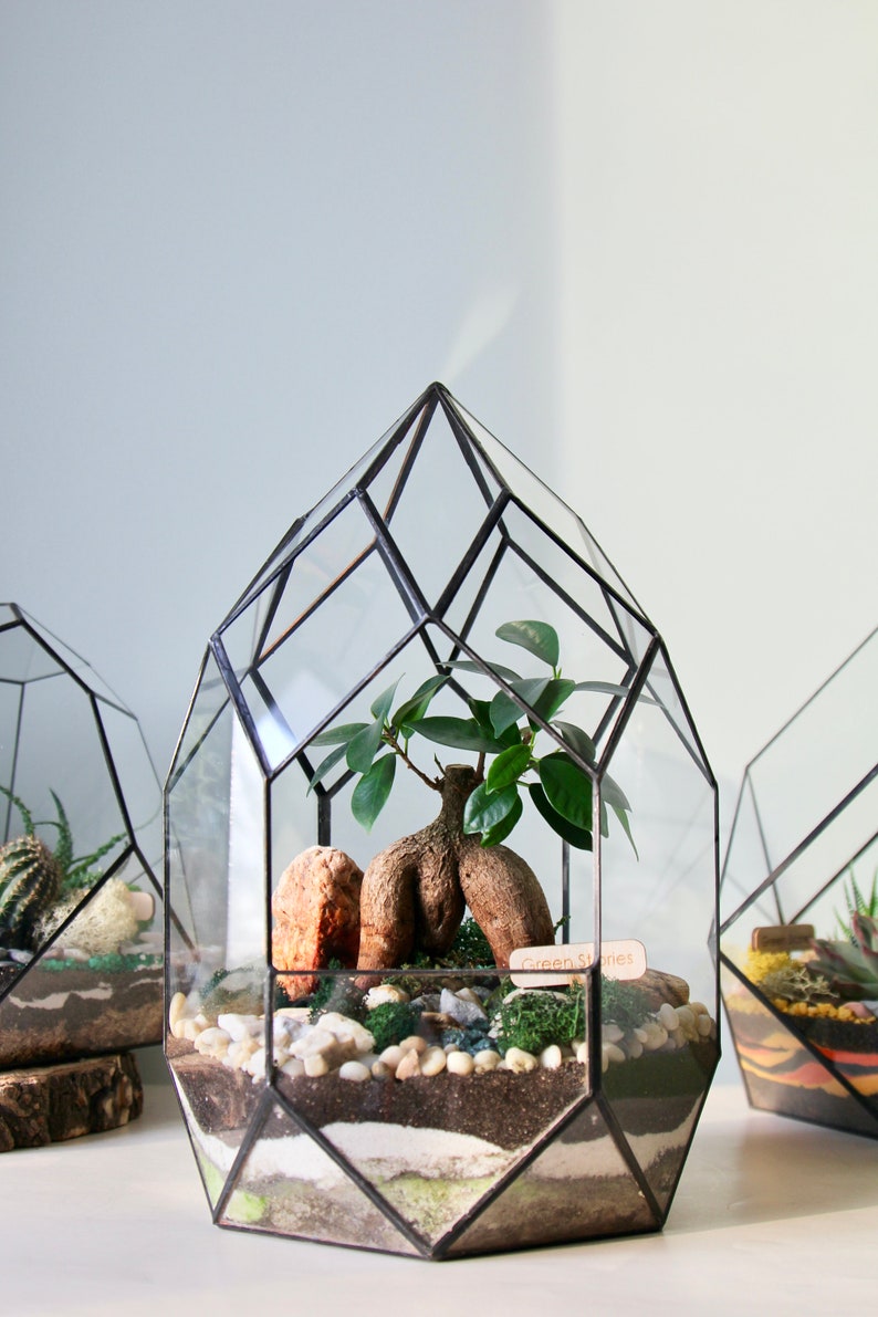 May include: Geometric glass terrarium with a small tree, rocks, and soil. The terrarium has a black metal frame and a clear glass design. The terrarium is approximately 10 inches tall.