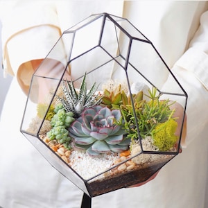 Geometric Glass Terrarium "Flower Bud" – Unique  Succulent Plant Gift, Modern Minimalist Home Decor, Housewarming Gift for Plant Lovers
