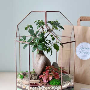 Glas-Terrarium – Dekoration für Wohnzimmer und Büro, Bonsai, perfektes Geschenk für Pflanzenliebhaber, Weihnachtsgeschenk, ohne Pflanzen