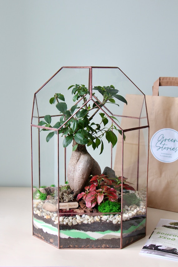 Glas-Terrarium  Dekoration fr Wohnzimmer und Bro, Bonsai, perfektes  Geschenk fr Pflanzenliebhaber, Weihnachtsgeschenk, ohne Pflanzen - Etsy.de
