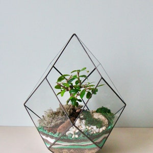 Entfesseln Sie Ihre Kreativität diese Weihnachten mit unserem DIY Terrarium Kit Das perfekte unvergessliche Geschenk. Neues Zuhause Geschenk. Personalisiertes Geschenk für Ihn Bild 10