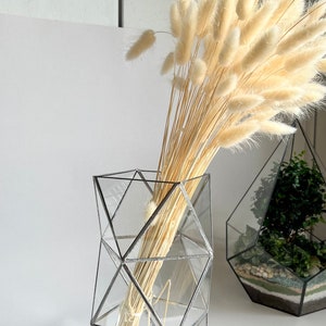 May include: A clear glass geometric vase with a silver metal frame holds a bouquet of dried white pampas grass.