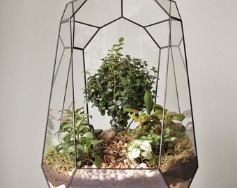 Glass terrarium "Mountain" – Living room and office decor, Bonsai terrarium, Christmas gift, home planter. Without plants