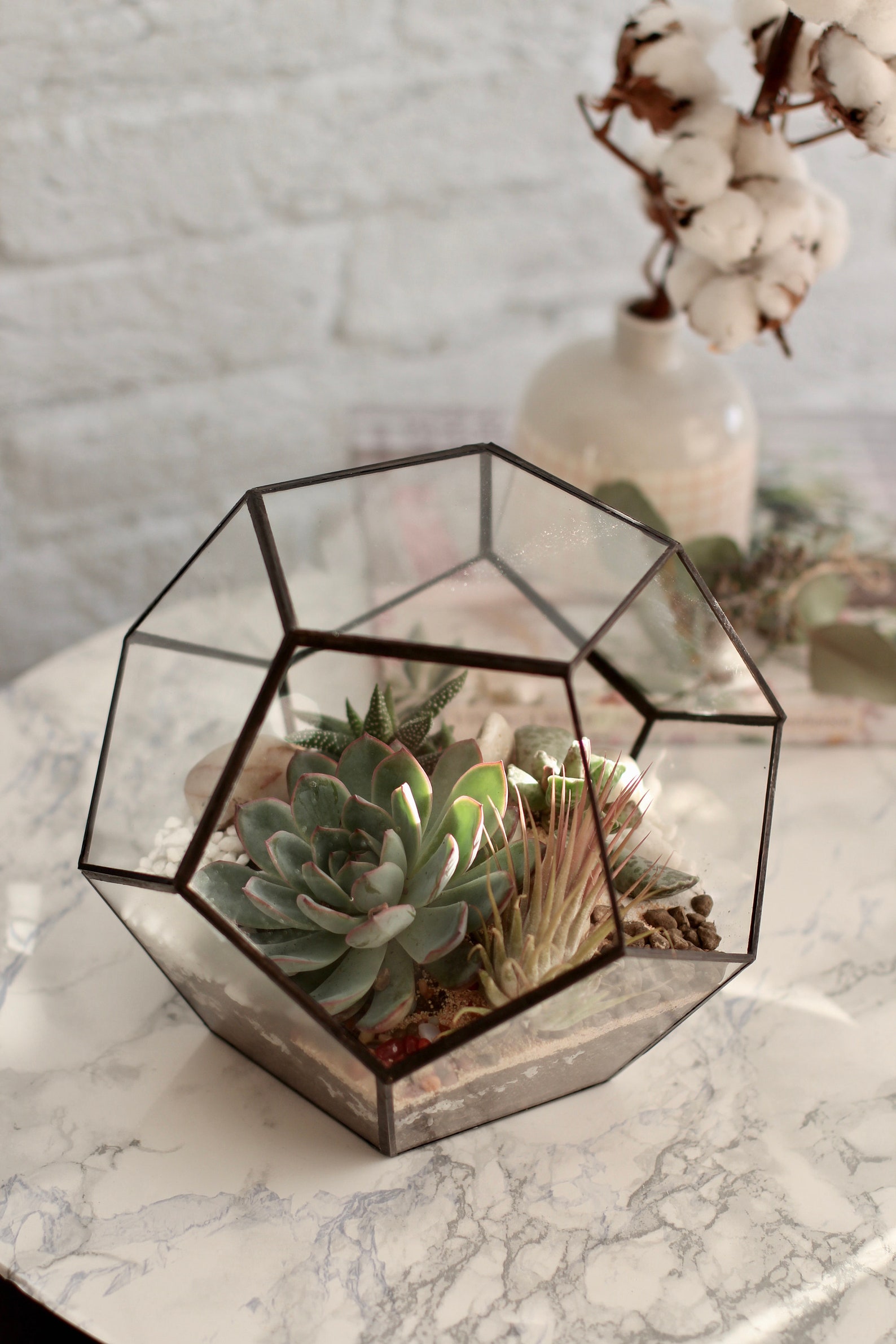 Modern Geometric Glass Terrarium Florarium Etsy