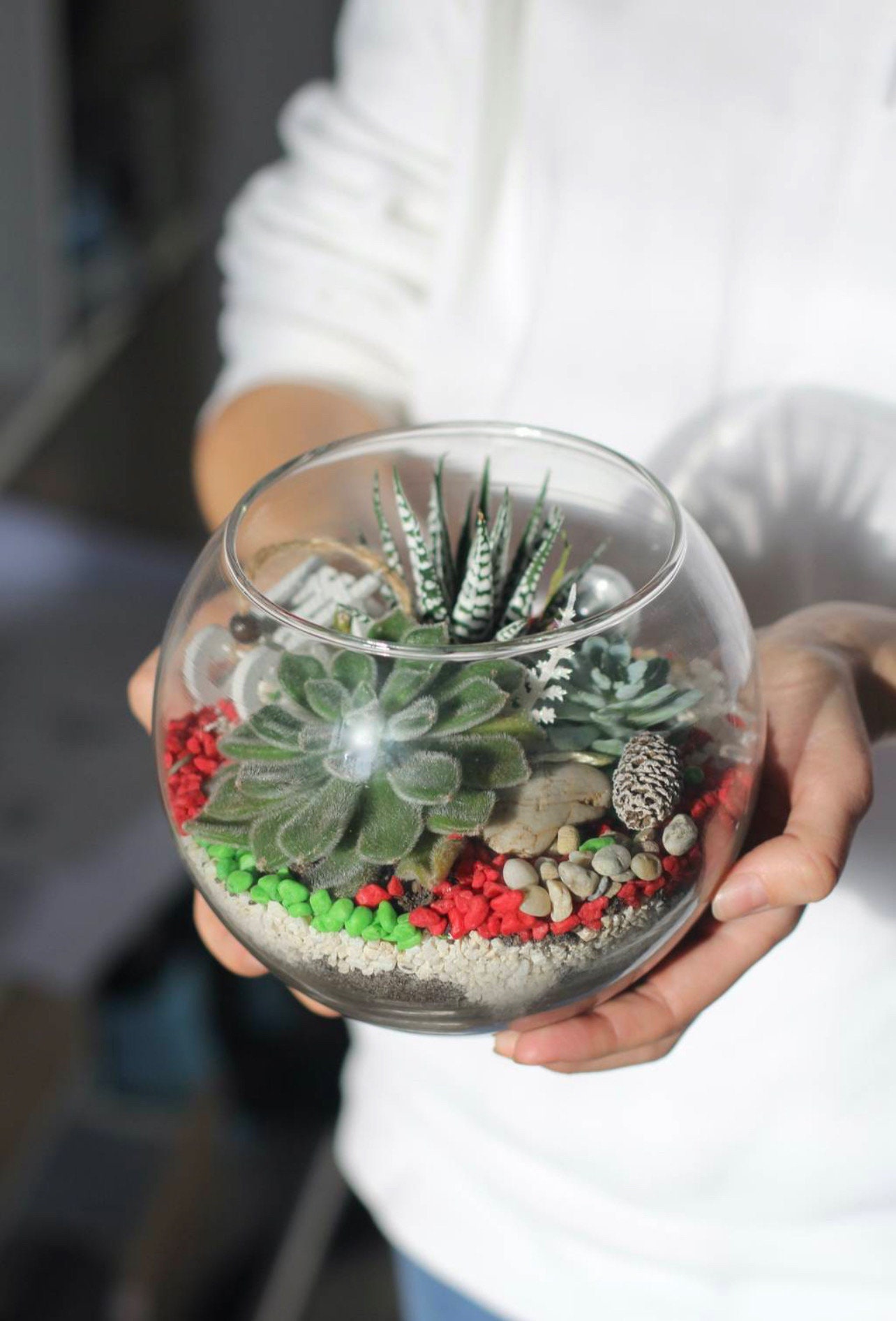 Terrarium Party Kit (15 people) - Small Bubble Bowl Terrarium