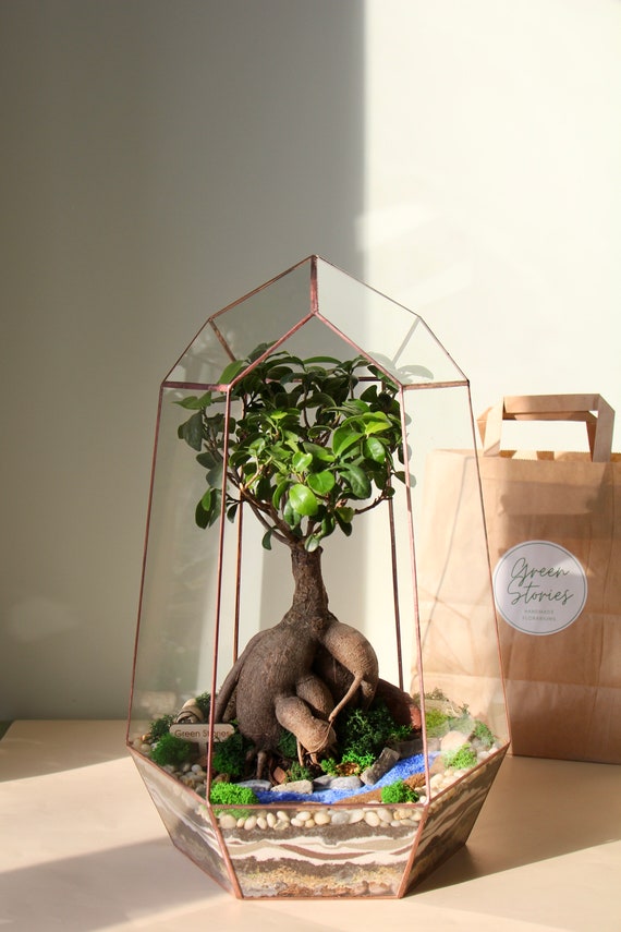 Terrario Geometrico In Vetro Fai Da Te – Vaso Chiuso Per Piante Grasse, Cactus, Decorazione Casa