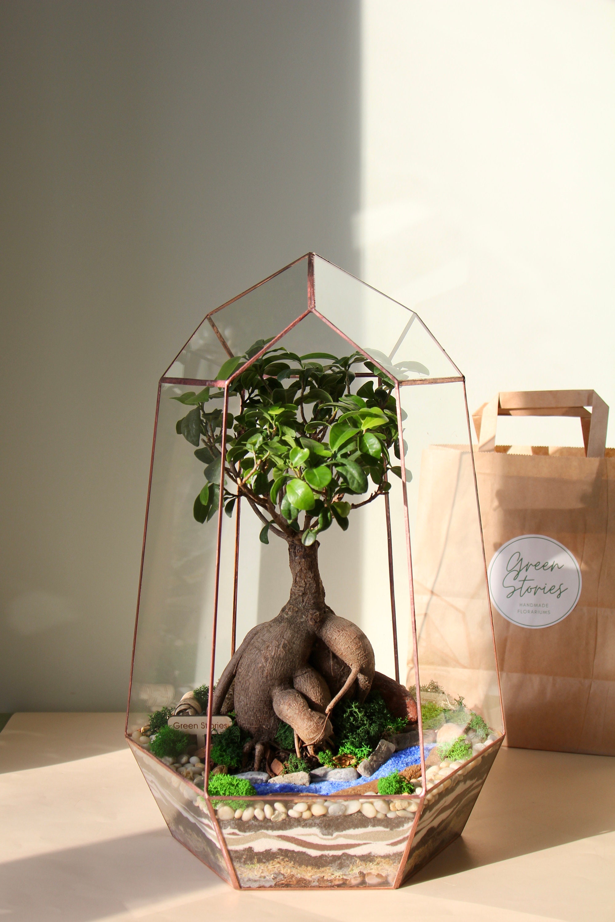 Pot de fleur,Boîte de Terrarium géométrique en verre de 19cm de hauteur, plateau de table