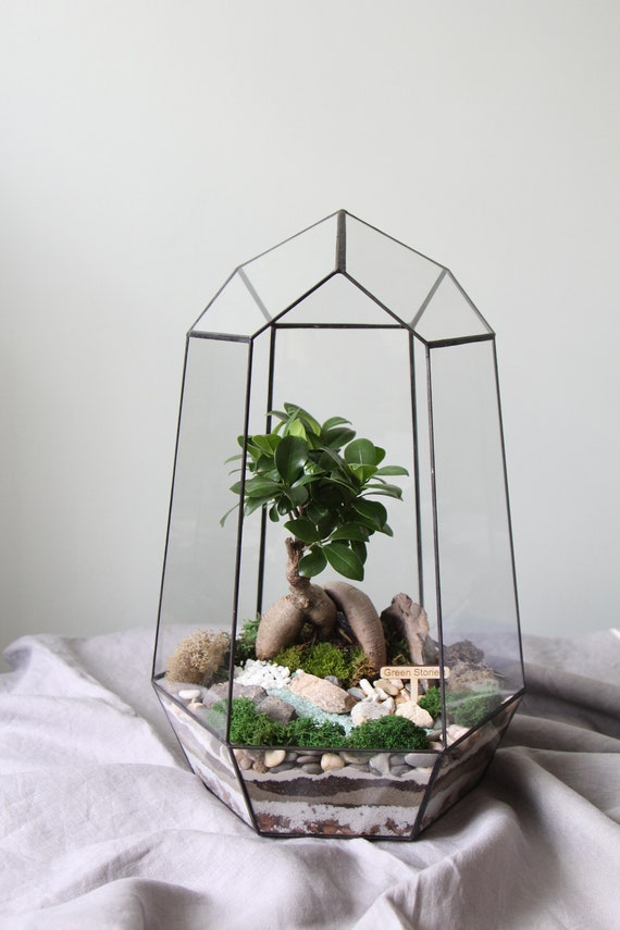 Base En Verre De Bonsaï De Vase De Théière Pratique De Présentoirs En Bois Pour La Décoration De Bureau à La Maison(#2) Ornaments Ornaments