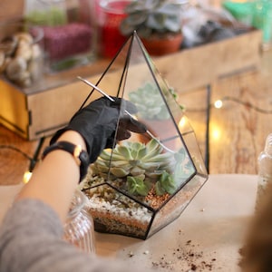 DIY terrarium kit with succulents. Christmas gift set, New home gift, Living room decor, Geometric planter, Gifts for Kids image 1