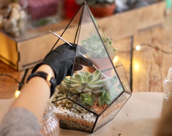 DIY Terrarium Kit with Succulents – Geometric Glass Planter, Creative Gift for Plant Lover, Housewarming Activity Gift