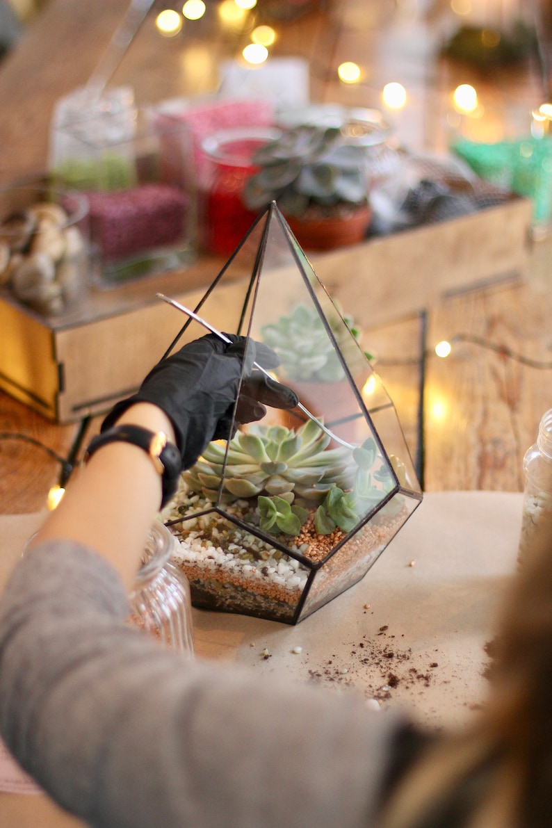 DIY terrarium kit with succulents. Christmas gift set, New home gift, Living room decor, Geometric planter, Gifts for Kids image 1