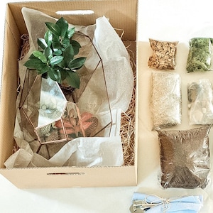 Unleash Your Creativity terrarium with our DIY Terrarium and Bonsai Kit - The Perfect Memorable Gift. Unique holiday gift for gardeners