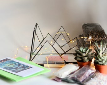 DIY terrarium kit "Mountains" with succulents. Christmas gift set, New home gift, Living room decor, Geometric planter, Gifts for Kids