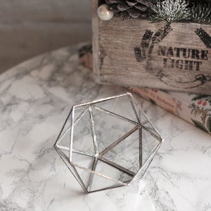 May include: A geometric glass terrarium with a silver finish. The terrarium is on a white marble surface.