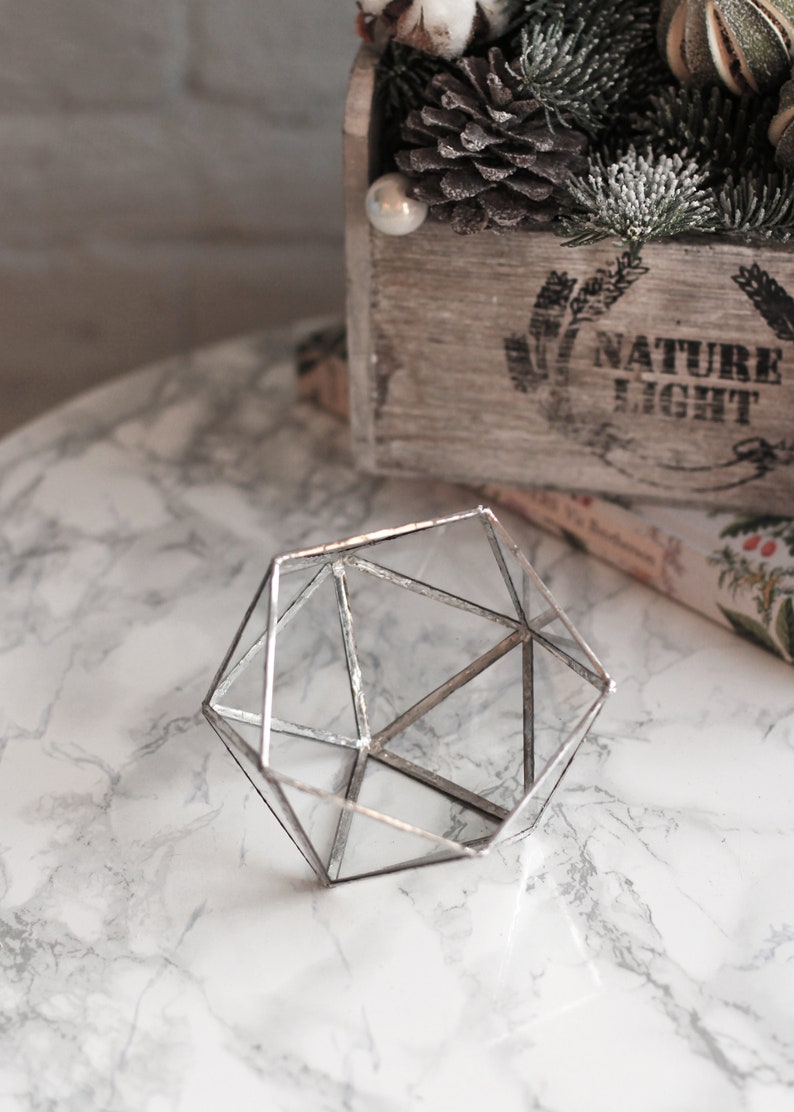 May include: A geometric glass terrarium with a silver finish. The terrarium is on a white marble surface.