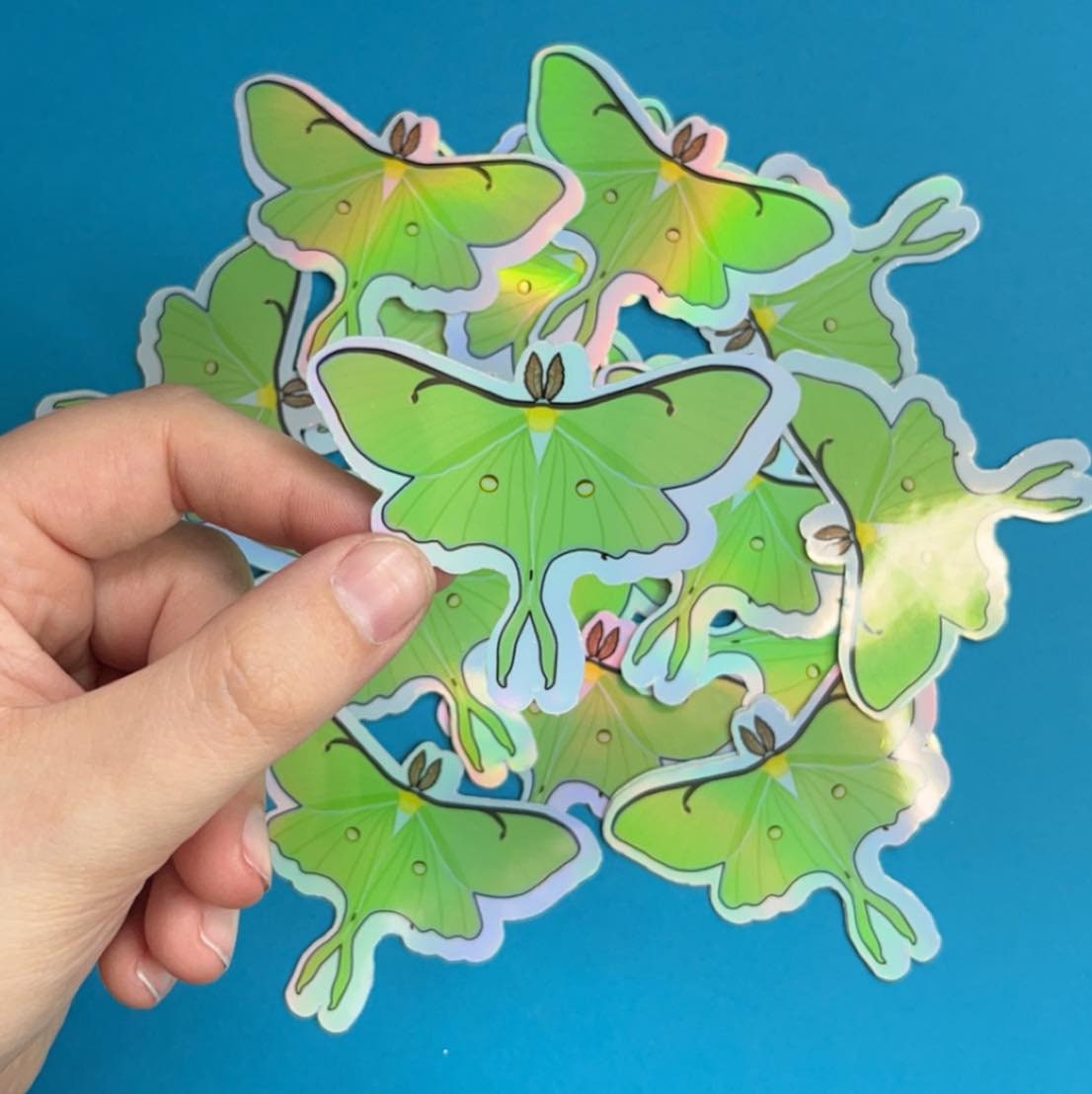 Luna Moth Vinyl Stickers - Etsy