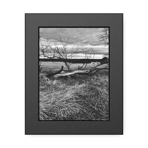 Silent Fields of Manassas Paper Posters