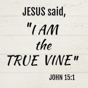 May include: A white wood background with black text that reads "JESUS said, "I AM the TRUE VINE" JOHN 15:1"