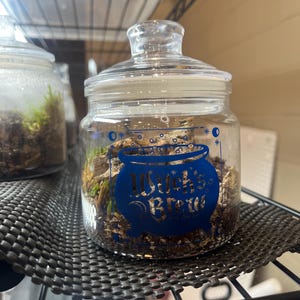 May include: A clear glass jar with a lid, filled with moss and other natural elements. The jar has a blue graphic that says "Witch's Brew". The jar is sitting on a black wire shelf.