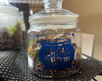 Bug Mini Jar Display Terrarium + Dirt & Bark (Small-4x4x4”) (Isopod, small spiders, and more!)