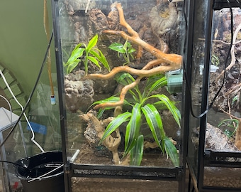 40 Gallon 3D Printed Arboreal / Vertical Aquarium to Terrarium Conversion Kit With Mister And Interior Light Mounting Inlets